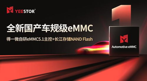 CFMS2024 存儲走向中央，得一微與晶科微電子持續開拓新篇章