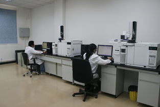 華科檢測技術(shù)服務(wù)積極捐資支持新中學(xué)建設(shè)，助力信息技術(shù)咨詢服務(wù)發(fā)展